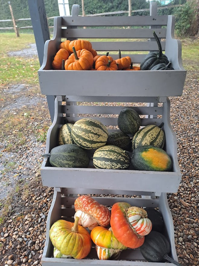 Celebrating Squash Season at Groombridge Farm Shop
