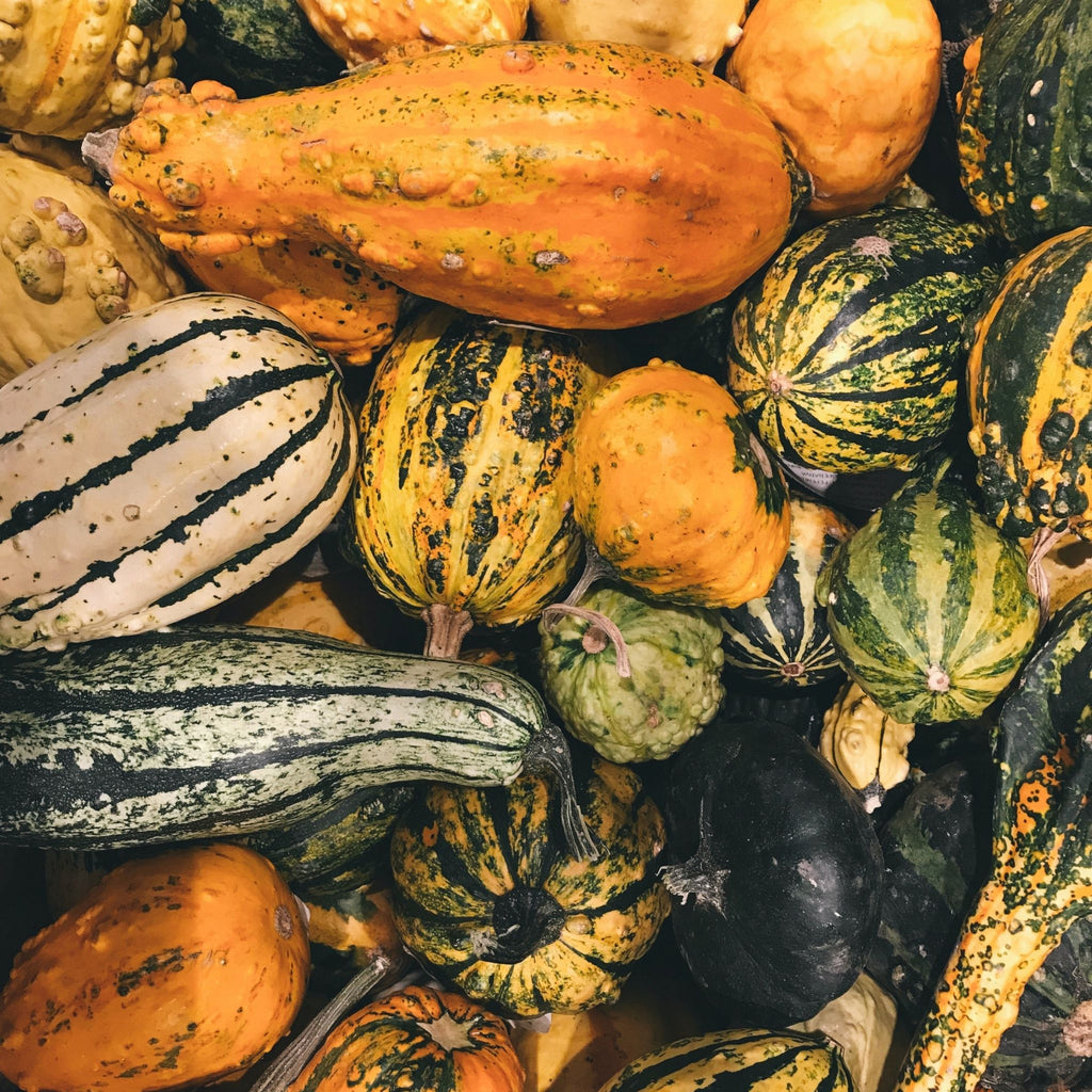 Pumpkins, Squashes and Gourds