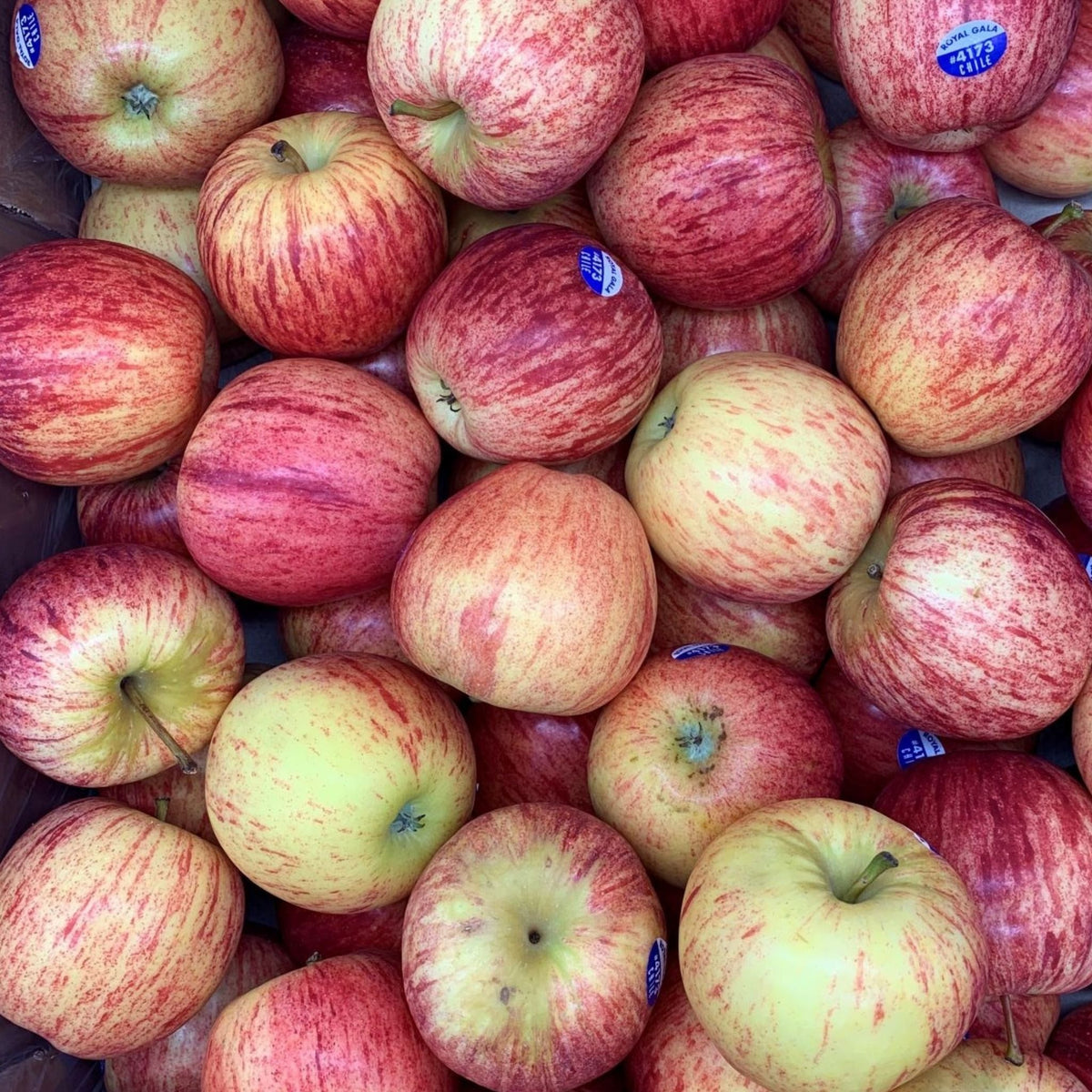 Gala Apples, pack of 4 Groombridge Farm Shop