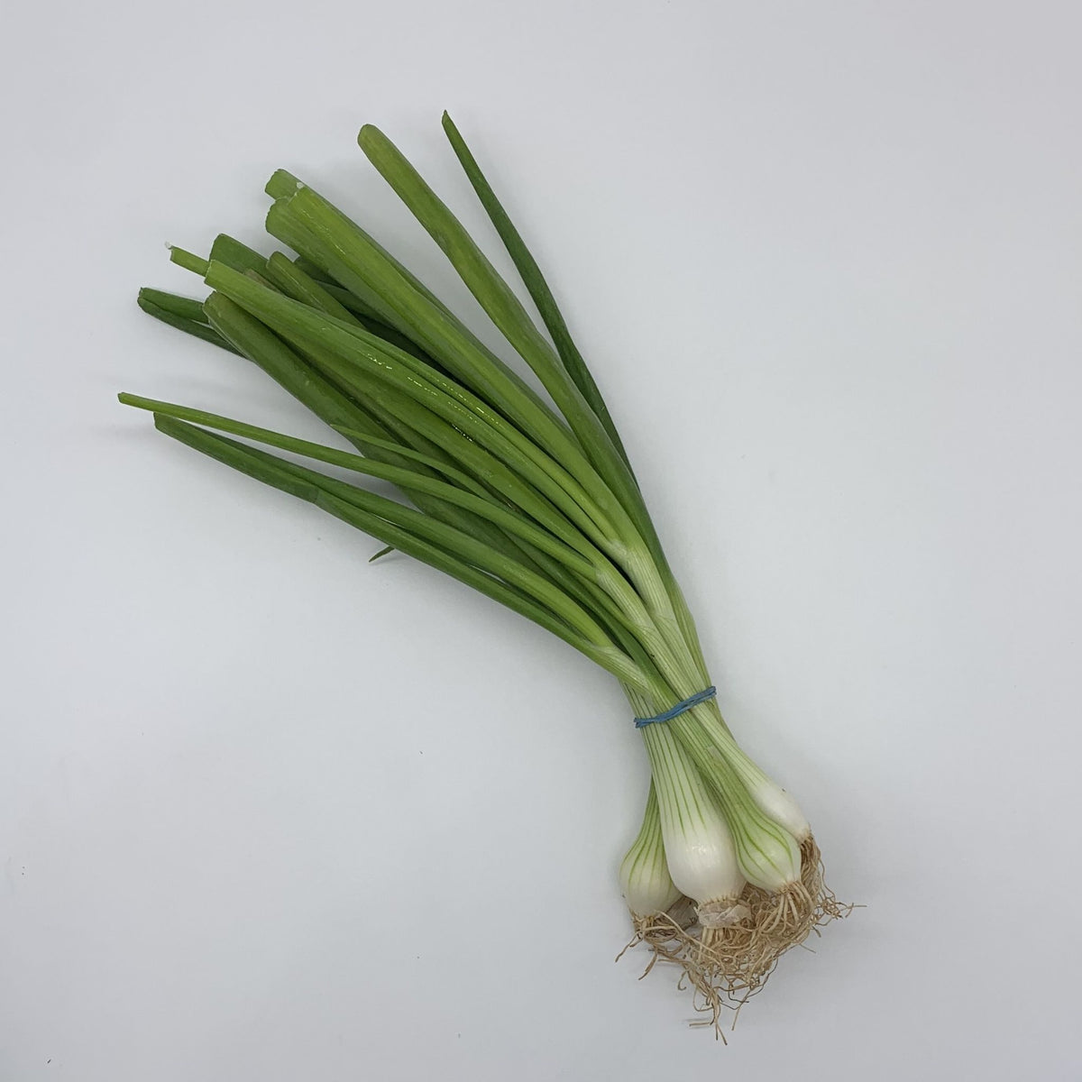 Spring Onion Local Shop Spring Onions at Groombridge Farm Shop